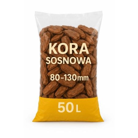 #kora#korasosnowa#sosnowa